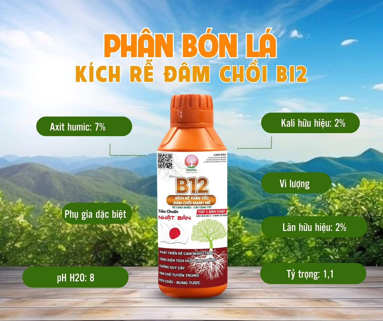 Bảng công bố thành phần Can B12 1 Lít
