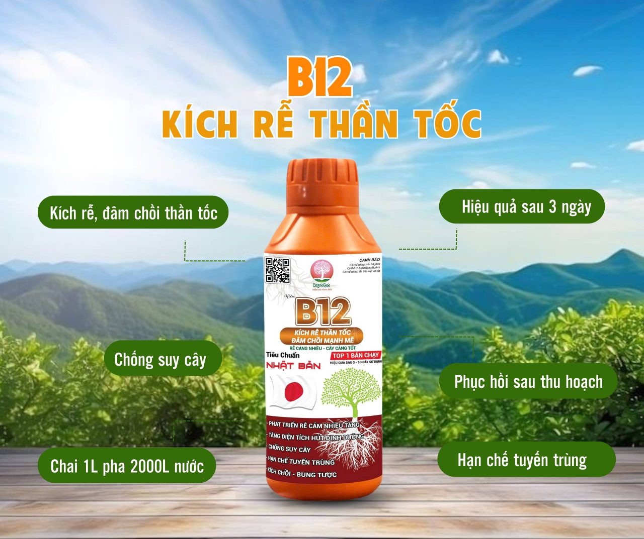 Can Thuốc Kích Rễ Đâm Chồi B12 Phân Humic Acid 1 Lít