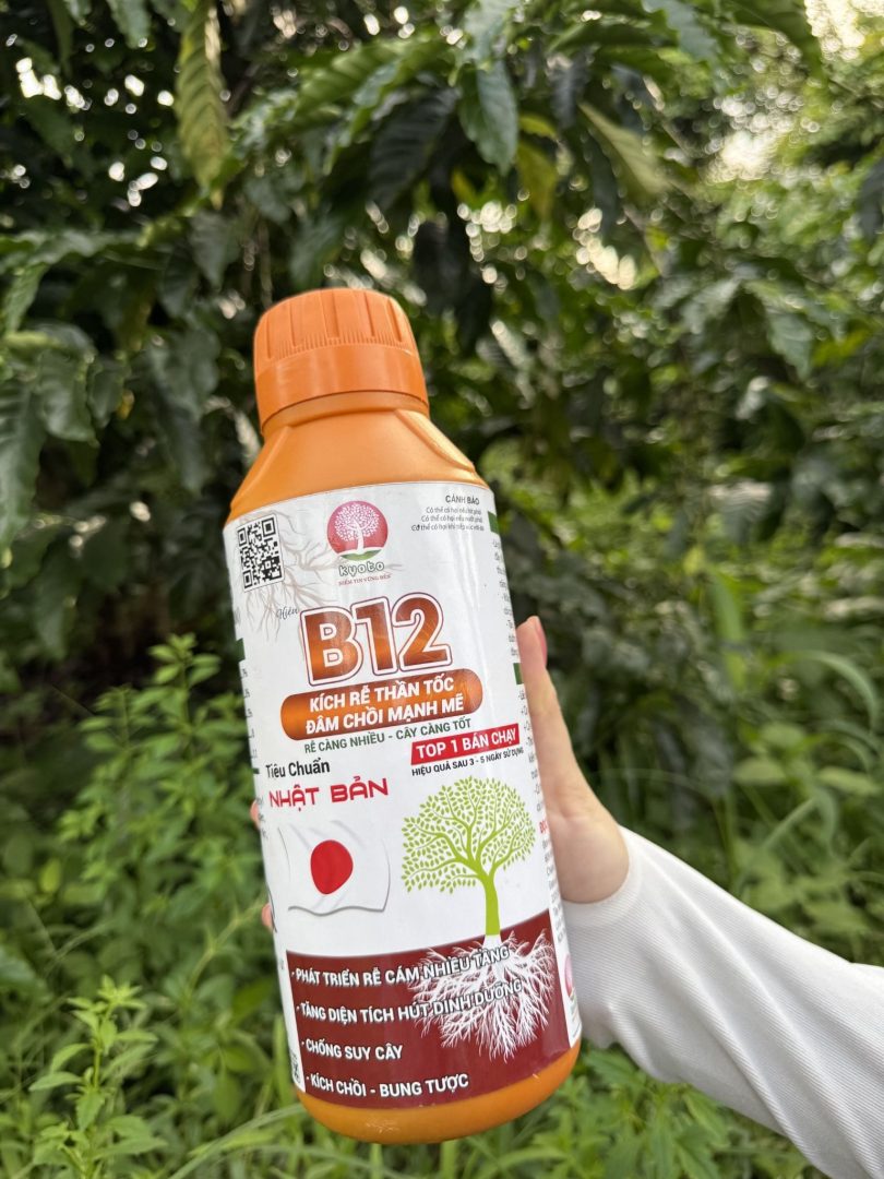 Cầm can B12 thực tế tại vườn cây